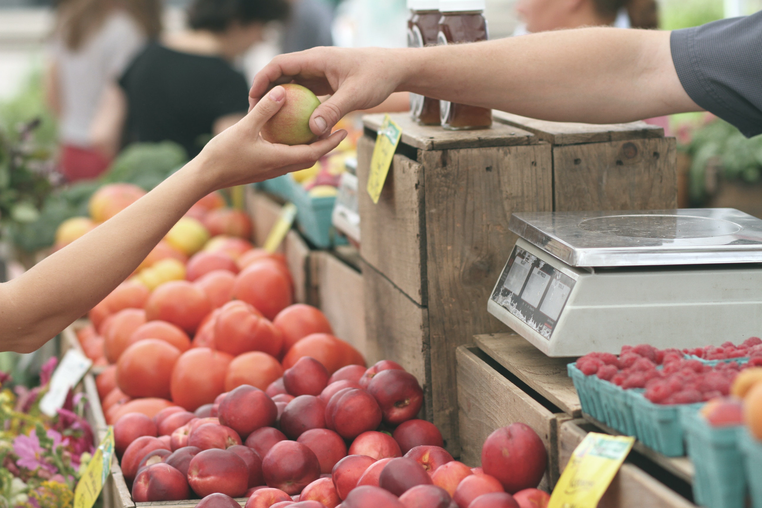 Farmers’ Markets Near Orlando: Three You Must Visit