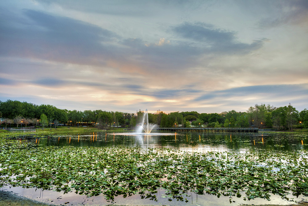 Sunrise at Lake Lilly Park