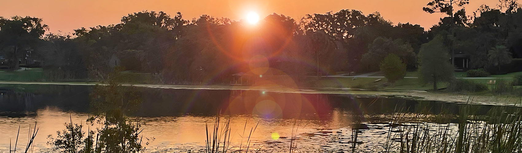 Sun rays through trees over lake